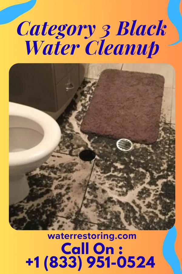 Category 3 Black Water Cleanup in Aten, NE