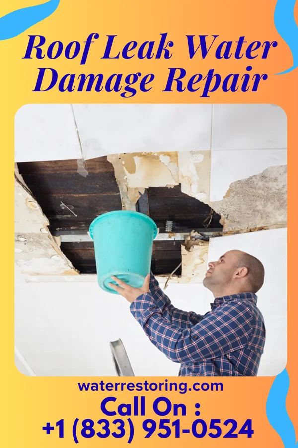 Roof Leak Water Damage Repair in Aten, NE