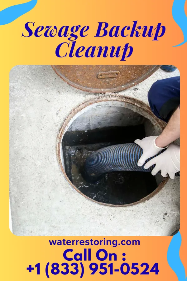Sewage Backup Cleanup in Aten, NE