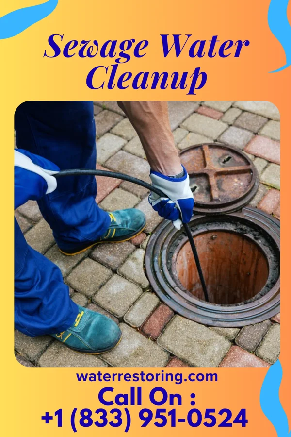 Sewage Water Cleanup in Aten, NE